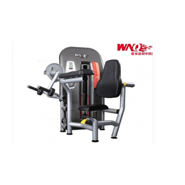 學校籃球架與勁道康體設施公司的康體設備解決方案