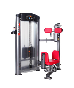 專業(yè)健身新選擇 LK-9018 軀干轉動訓練器，盡在廣州市麗康康體設備